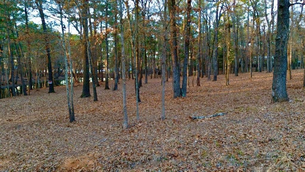TBD Hickory Trail, #(11E), Flint, TX 75762 TBD Hickory Trail, #(11E), Flint, TX 75762