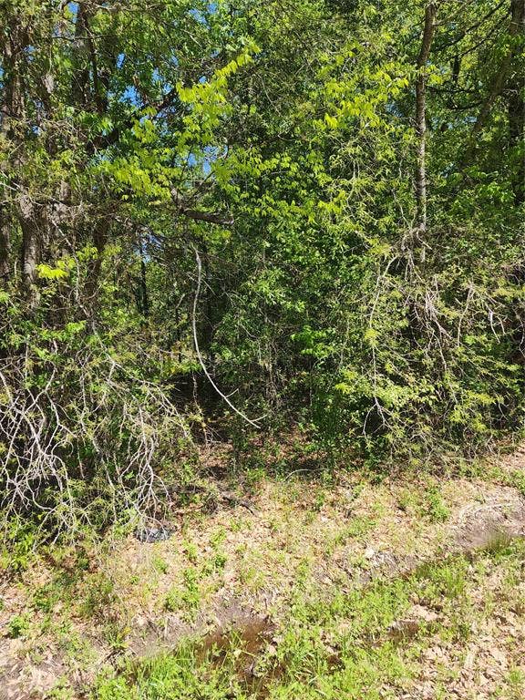 Property photo for 116 Lindy Lee Lane, Mabank, TX