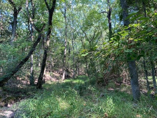 TR 4-A CR 41514, Athens, TX 75751 TR 4-A CR 41514, Athens, TX 75751