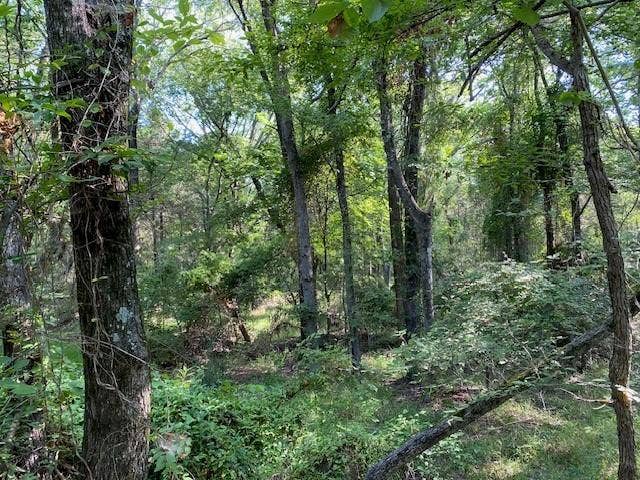 TR 4-A CR 41514, Athens, TX 75751 TR 4-A CR 41514, Athens, TX 75751