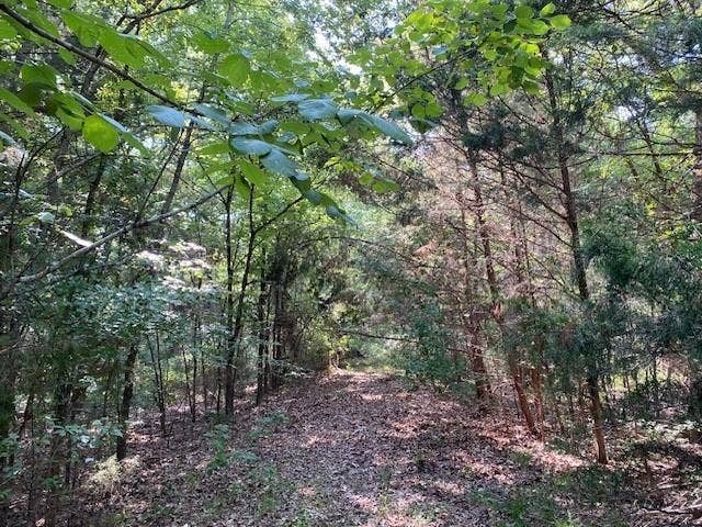 TR 4-B CR 41514, Athens, TX 75751 TR 4-B CR 41514, Athens, TX 75751