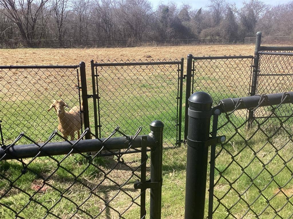15314 Fm 3062, Malakoff, TX 75148 One acre small animal yard with gate at the N and holding pen on the E as seen here. Currently used for goat.