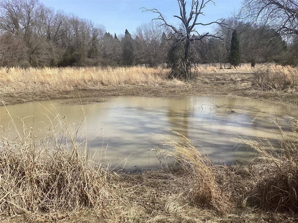 15314 Fm 3062, Malakoff, TX 75148 Pond in 2nd pasture. Total 3 pastures