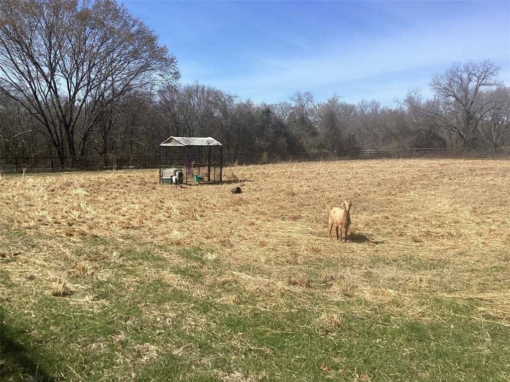 15314 Fm 3062, Malakoff, TX 75148 One acre small animal yard. Tree line is the property line.