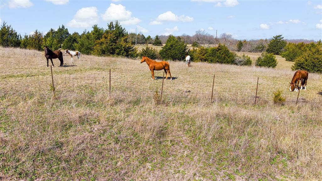 11016 State Highway 78 N, Blue Ridge, TX 75424 11016 State Highway 78 N, Blue Ridge, TX 75424