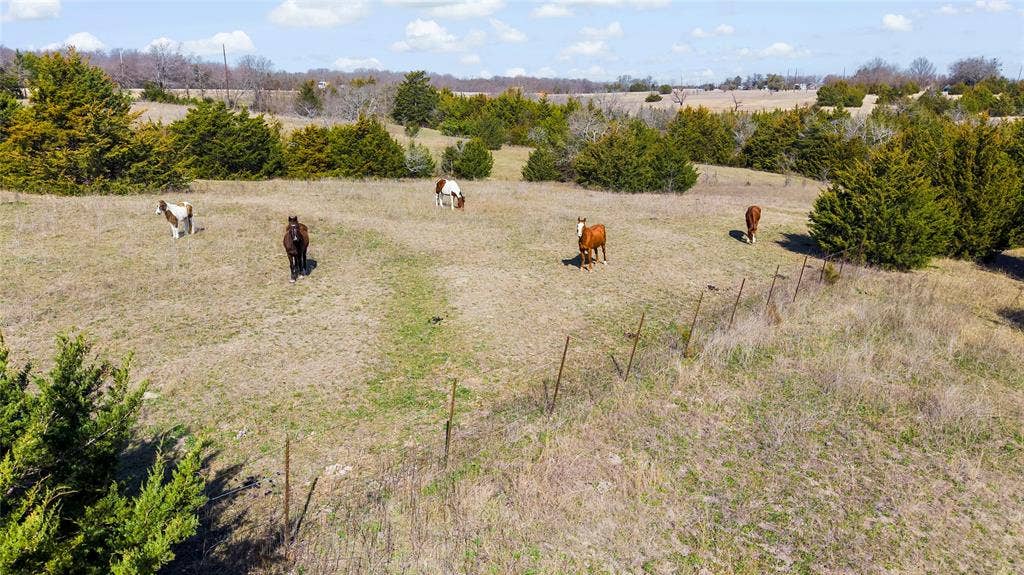 11016 State Highway 78 N, Blue Ridge, TX 75424 11016 State Highway 78 N, Blue Ridge, TX 75424