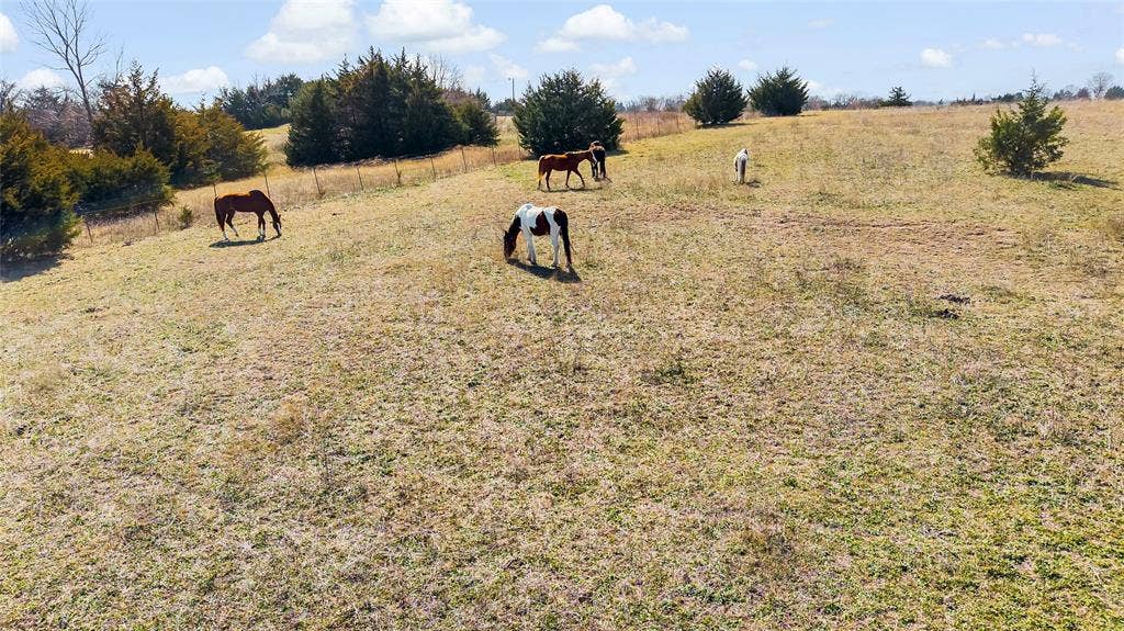 11016 State Highway 78 N, Blue Ridge, TX 75424 11016 State Highway 78 N, Blue Ridge, TX 75424