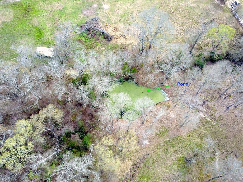 13550 County Road 2919, Eustace, TX 75124 Pond