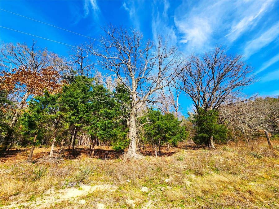 Property photo for Lot 463 US-175, Larue, TX
