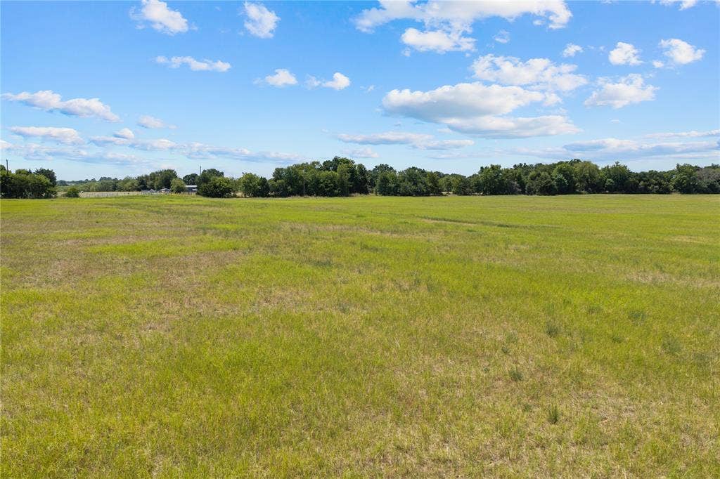 Expansive open pasture with natural grass and mature trees bordering the perimeter