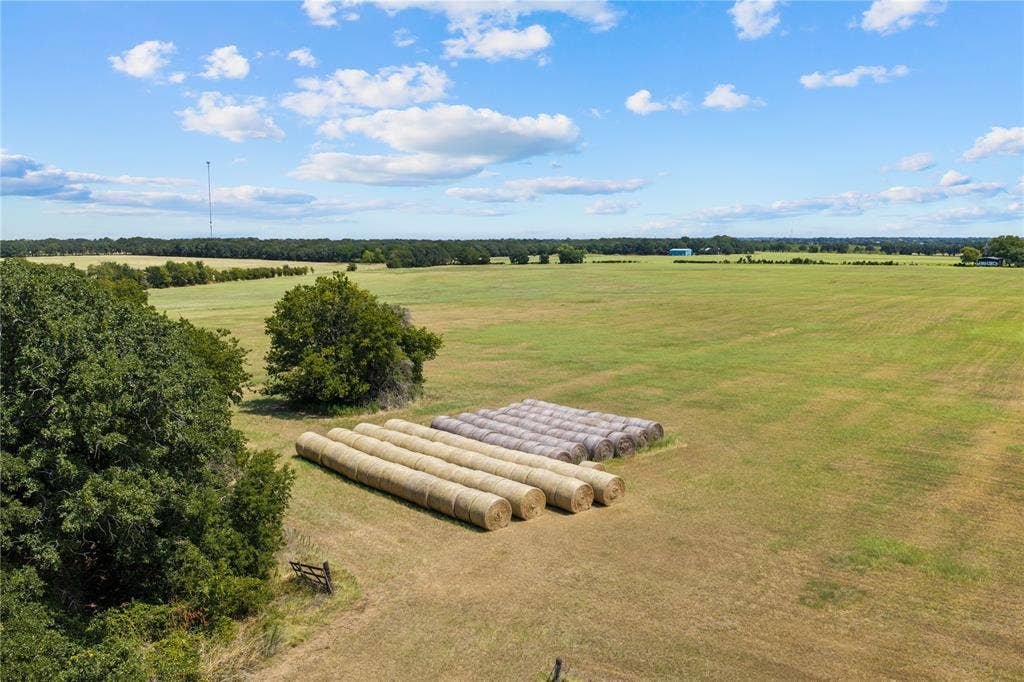 Expansive open fields with scattered trees