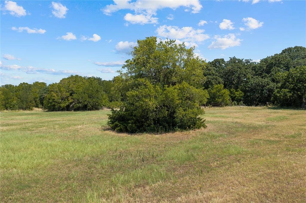 Expansive open field with scattered trees and a dense tree line
