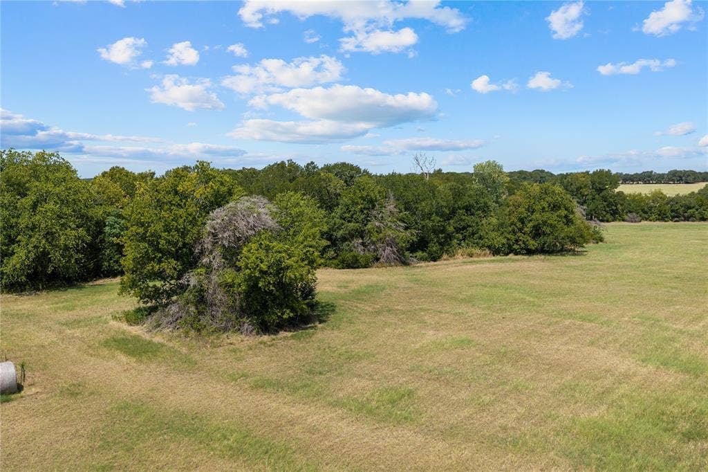 Expansive open field with scattered mature trees and distant tree lines