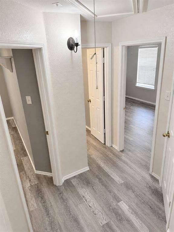 103 Denali Court, Terrell, TX 75160 Hallway featuring wood-finish flooring, white baseboards, and neutral wall paint