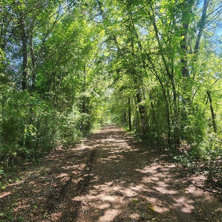0 S Vivian Street, Lindale, TX 75771 0 S Vivian Street, Lindale, TX 75771