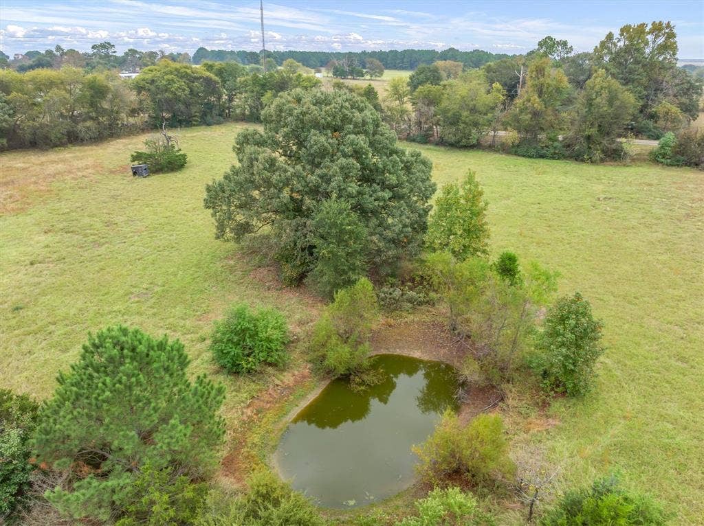 25046 Fm 857, Grand Saline, TX 75140 Pond