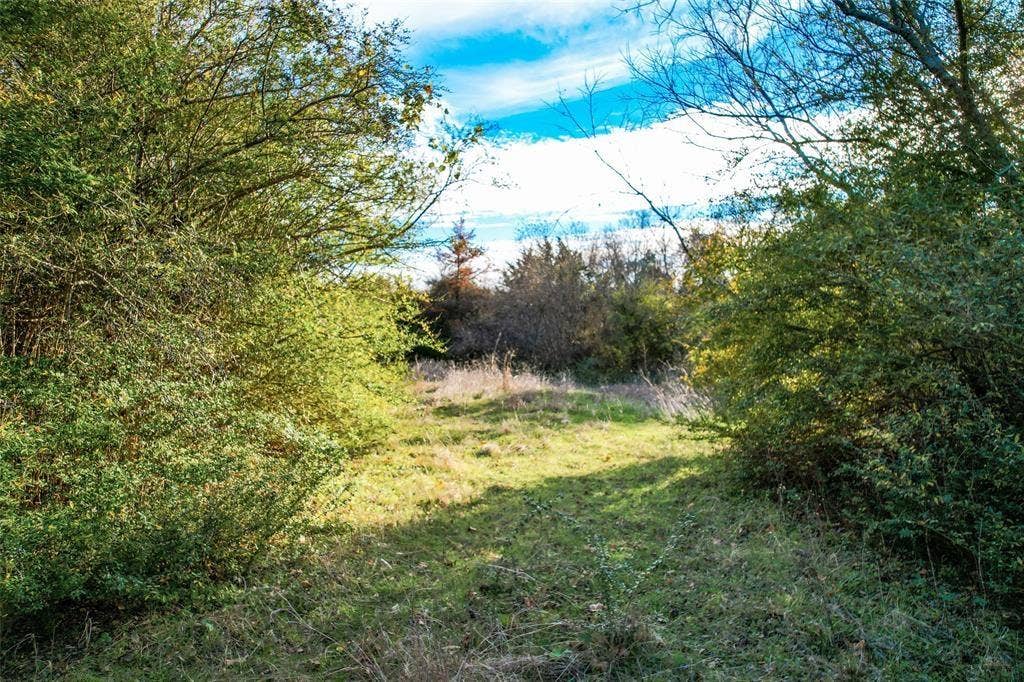 800 N Prairie Creek Road, Dallas, TX 75217