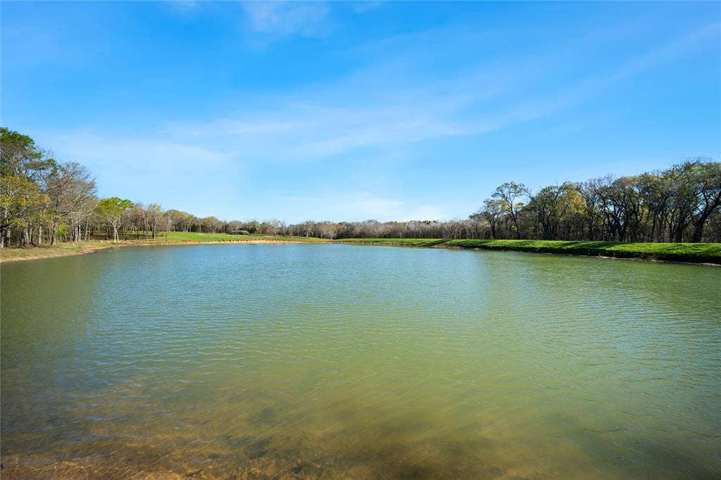 8260 State Highway 31 Highway, Athens, TX 75751 8260 State Highway 31 Highway, Athens, TX 75751