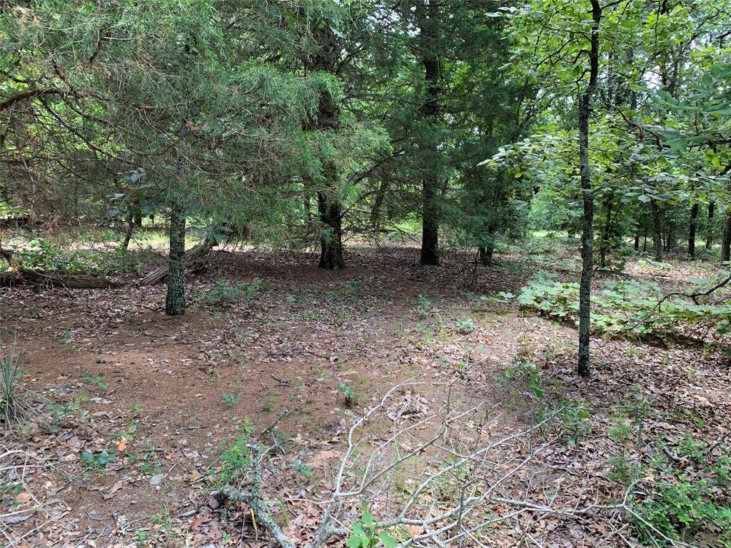 TBD Farm-to-Market 2494, Athens, TX 75751 TBD Farm-to-Market 2494, Athens, TX 75751