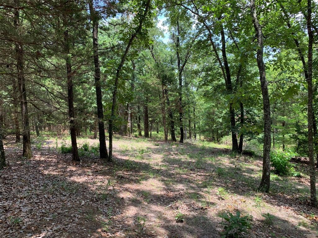 TBD Farm-to-Market 2494, Athens, TX 75751 TBD Farm-to-Market 2494, Athens, TX 75751