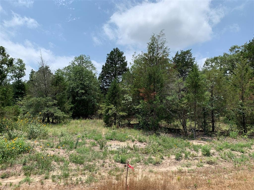 TBD Farm-to-Market 2494, Athens, TX 75751 TBD Farm-to-Market 2494, Athens, TX 75751