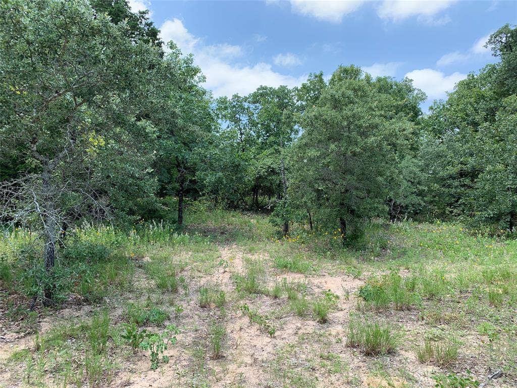 TBD Farm-to-Market 2494, Athens, TX 75751 TBD Farm-to-Market 2494, Athens, TX 75751