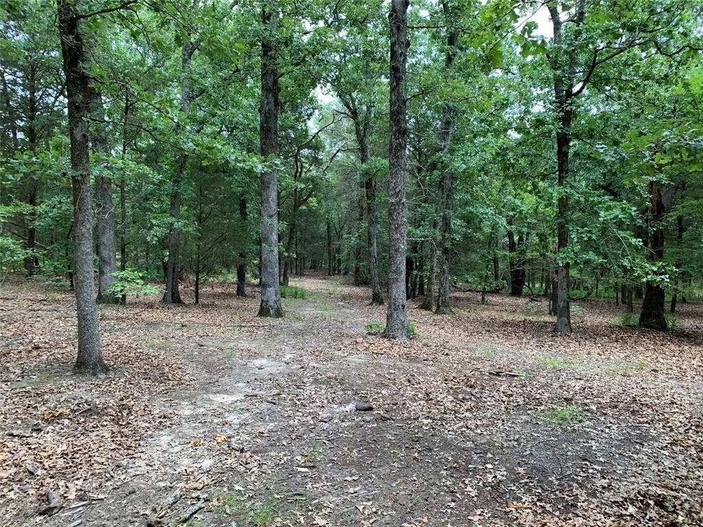TBD Farm-to-Market 2494, Athens, TX 75751 TBD Farm-to-Market 2494, Athens, TX 75751