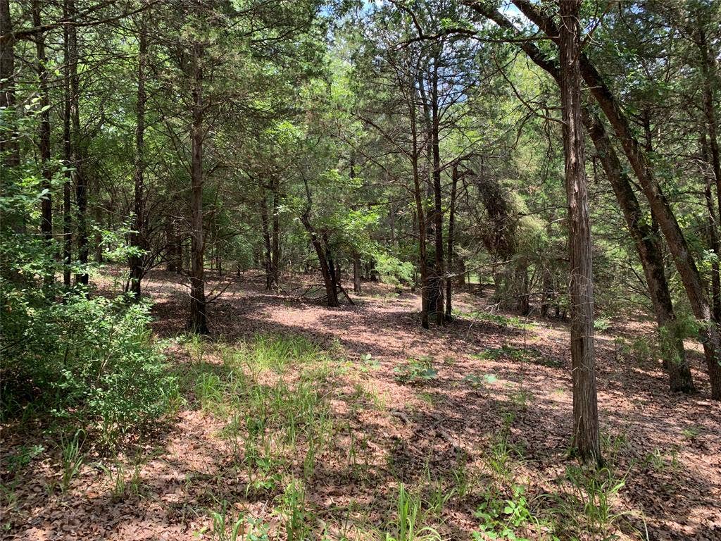 TBD Farm-to-Market 2494, Athens, TX 75751 TBD Farm-to-Market 2494, Athens, TX 75751