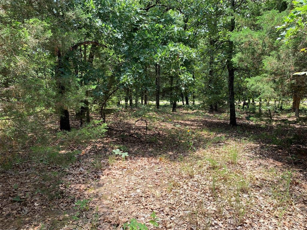 TBD Farm-to-Market 2494, Athens, TX 75751 TBD Farm-to-Market 2494, Athens, TX 75751