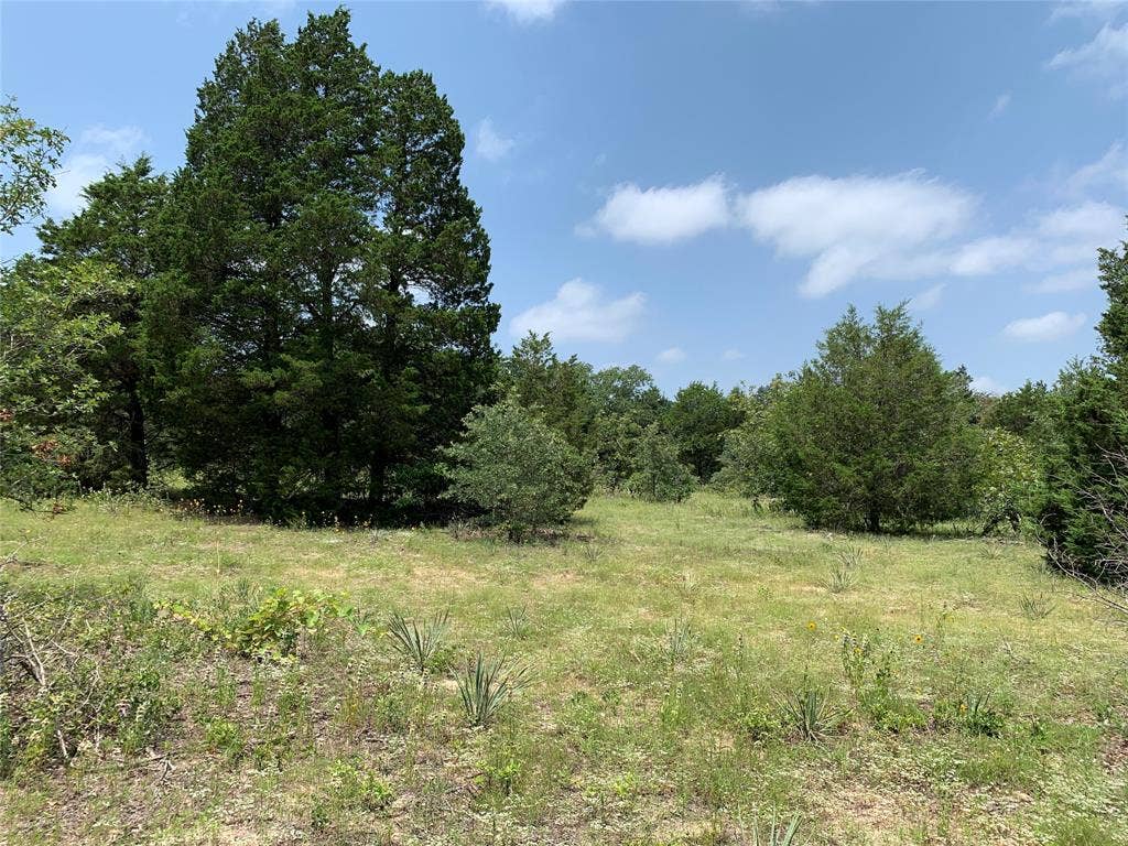 TBD Farm-to-Market 2494, Athens, TX 75751 TBD Farm-to-Market 2494, Athens, TX 75751