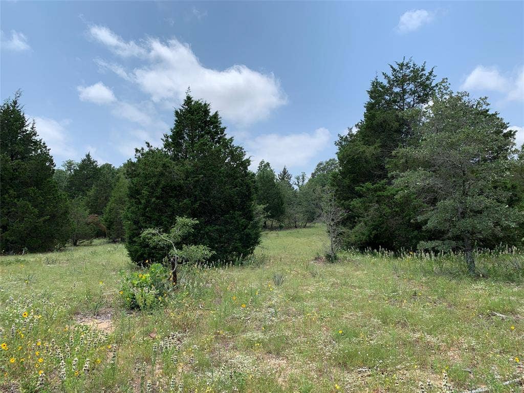 TBD Farm-to-Market 2494, Athens, TX 75751 TBD Farm-to-Market 2494, Athens, TX 75751