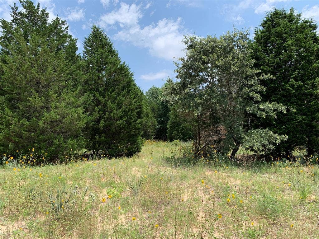 TBD Farm-to-Market 2494, Athens, TX 75751 TBD Farm-to-Market 2494, Athens, TX 75751