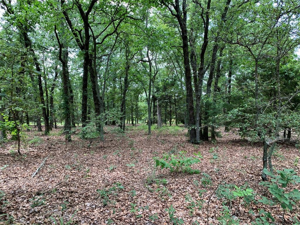 TBD Farm-to-Market 2494, Athens, TX 75751 TBD Farm-to-Market 2494, Athens, TX 75751