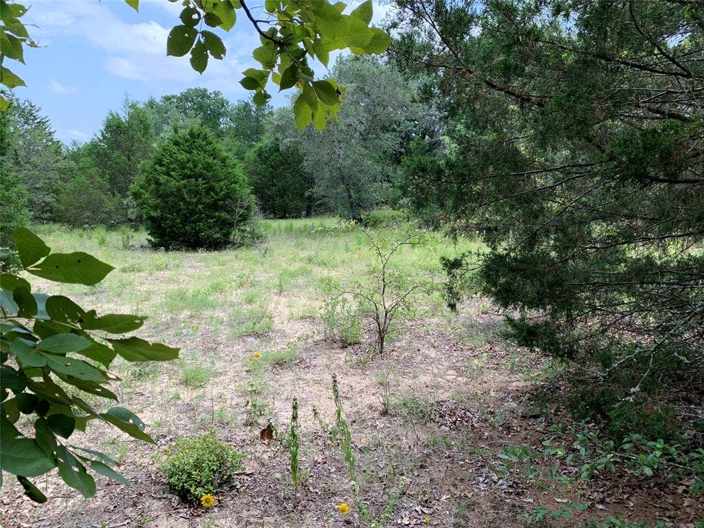 TBD Farm-to-Market 2494, Athens, TX 75751 TBD Farm-to-Market 2494, Athens, TX 75751
