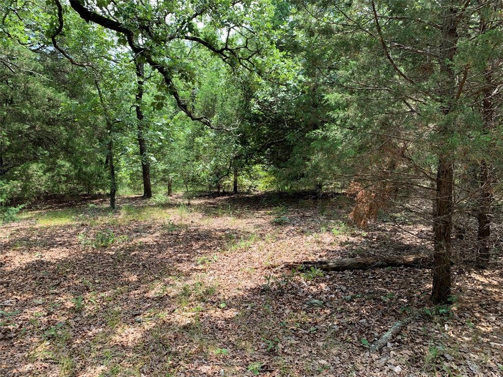 TBD Farm-to-Market 2494, Athens, TX 75751 TBD Farm-to-Market 2494, Athens, TX 75751