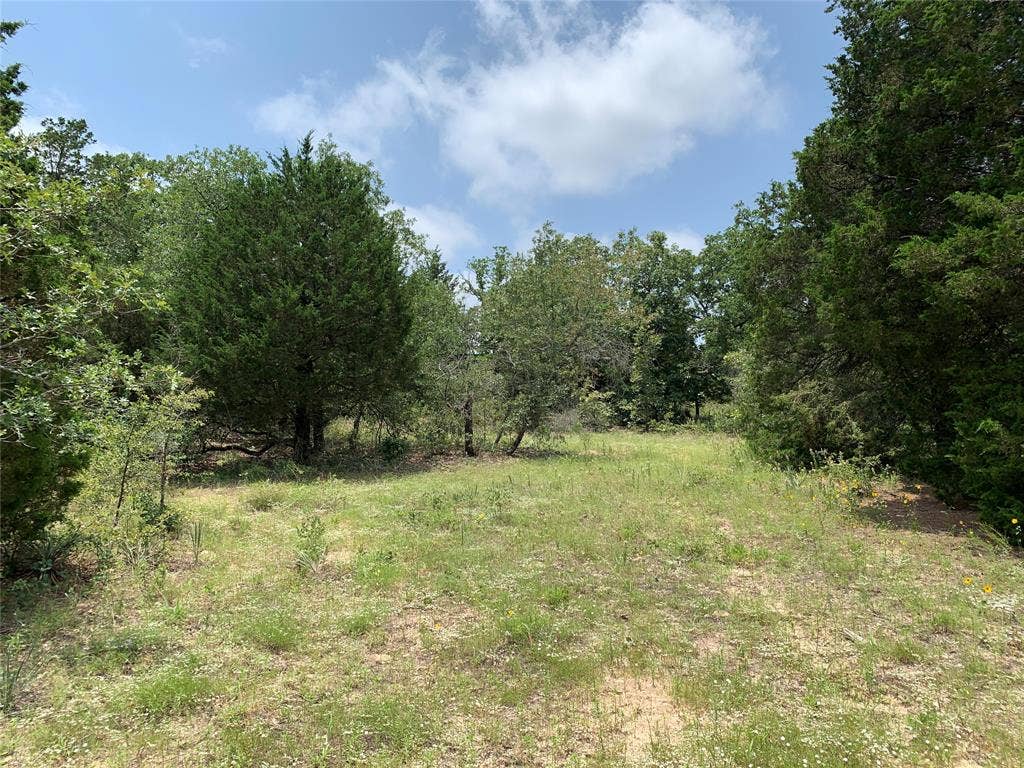 TBD Farm-to-Market 2494, Athens, TX 75751 TBD Farm-to-Market 2494, Athens, TX 75751