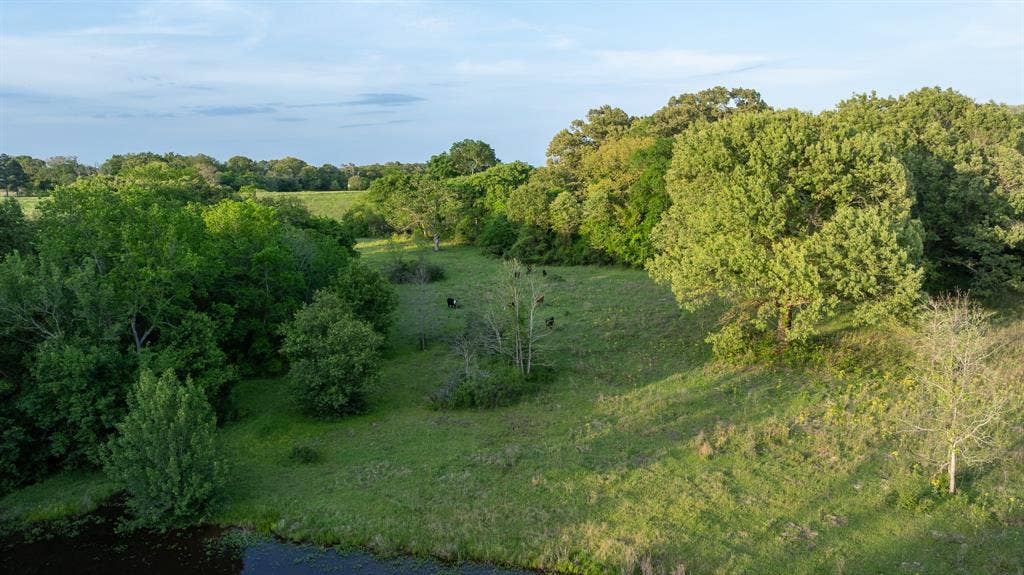 951 SE Loop 7, Athens, TX 75751 951 SE Loop 7, Athens, TX 75751