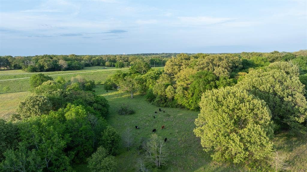 951 SE Loop 7, Athens, TX 75751 951 SE Loop 7, Athens, TX 75751