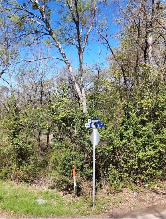 Property photo for TBD LOT 19 Commander Lane, Gun Barrel City, TX