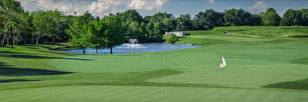 351 Southern Hills Drive, Fairview, TX 75069 Expansive green with varied terrain, mature trees, and a water feature with a fountain