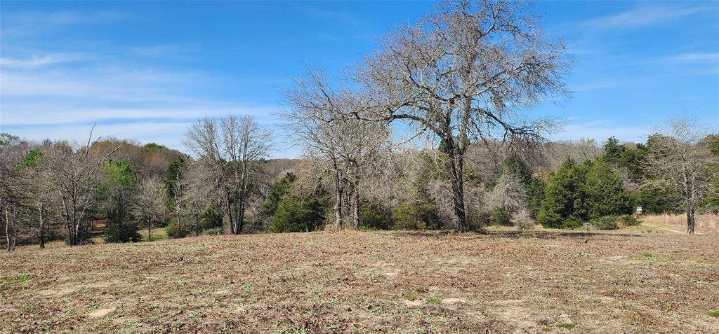 14612 County Road 1114, Athens, TX 75751 View of woods