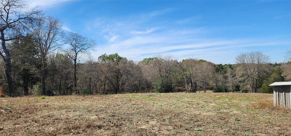 14612 County Road 1114, Athens, TX 75751 View of yard