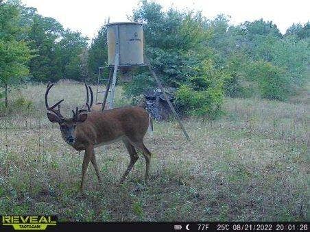 14612 County Road 1114, Athens, TX 75751 Wildlife is plentiful.