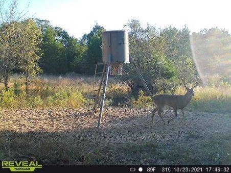 14612 County Road 1114, Athens, TX 75751 Wildlife is plentiful.