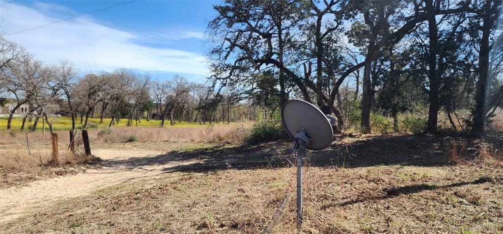 14612 County Road 1114, Athens, TX 75751 Road going out of the property.
