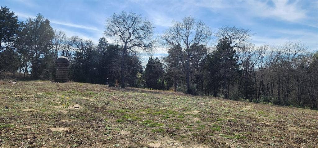 14612 County Road 1114, Athens, TX 75751 View of local wilderness