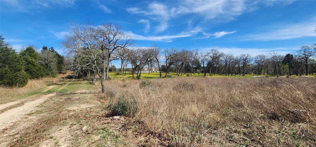 14612 County Road 1114, Athens, TX 75751 Road going out of the property.