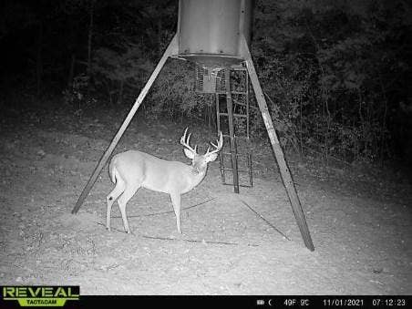 14612 County Road 1114, Athens, TX 75751 Wildlife is plentiful.