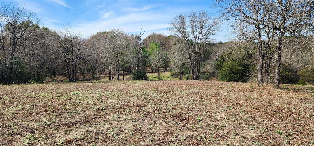 14612 County Road 1114, Athens, TX 75751 View of undeveloped land