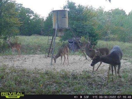 14612 County Road 1114, Athens, TX 75751 Wildlife is plentiful.